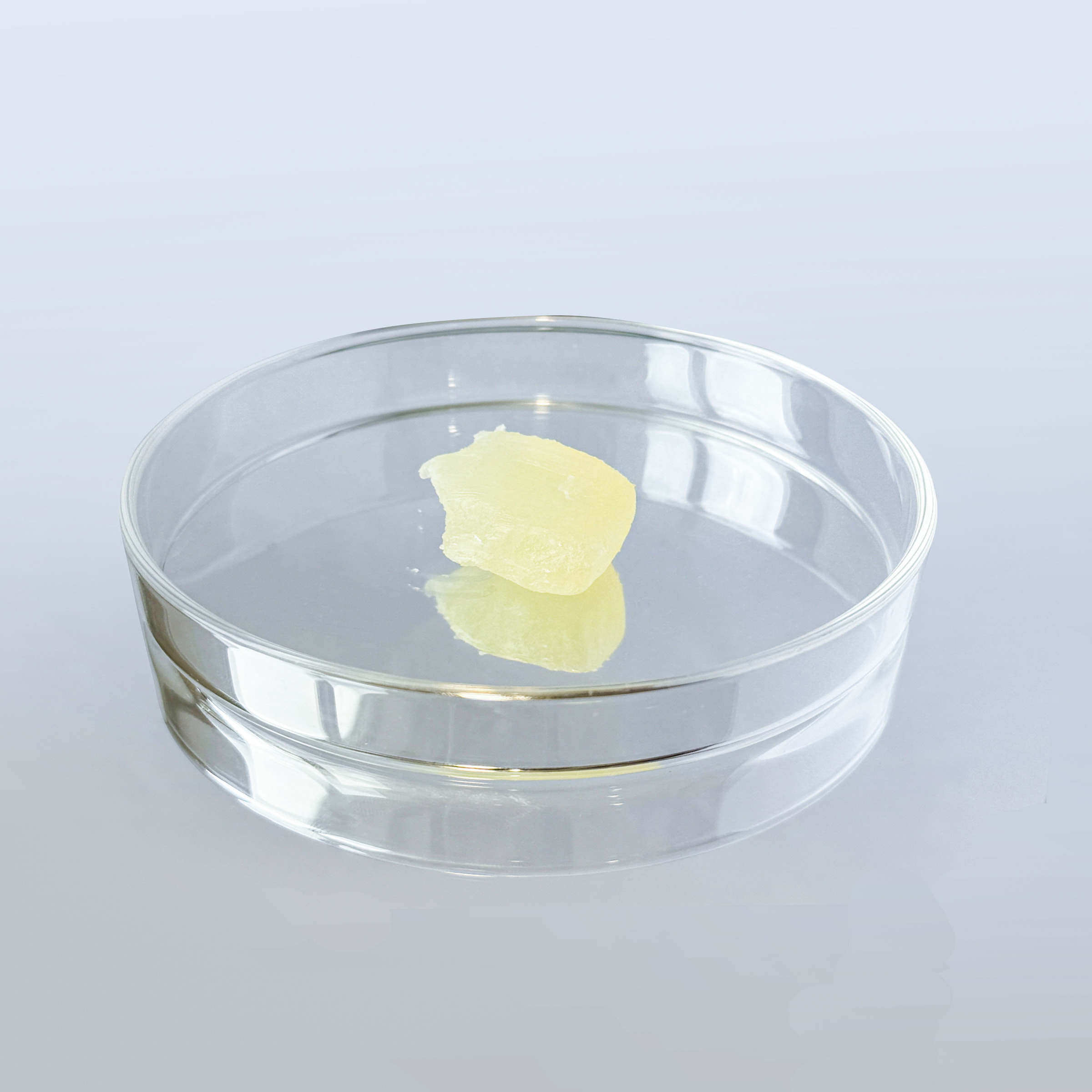 ZLEY®PE910-HOLELLIA 1 ZLEY®PE910-HOLELLIA