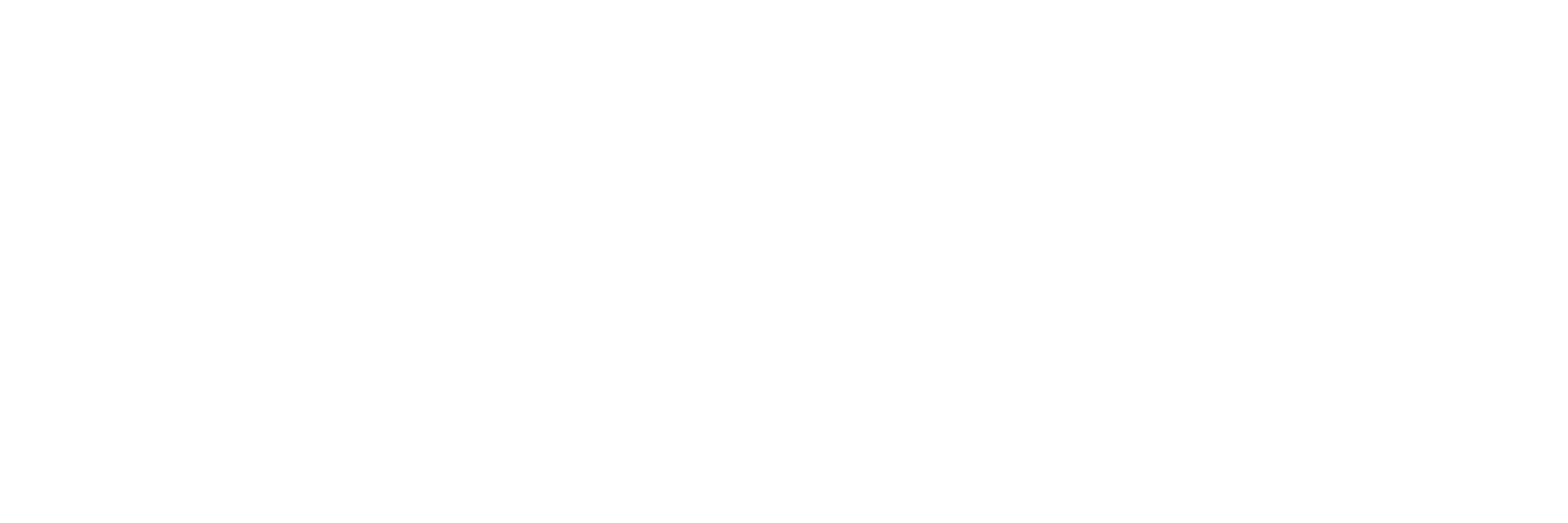 ZLEY Group Logo